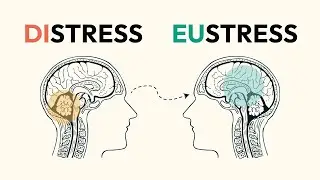 The science of why stress can be good for you