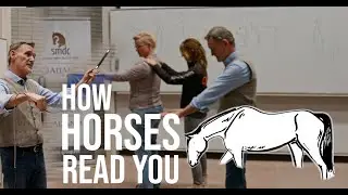 The Science of Feel: Chris Irwin on Veterinary Horsemanship | Utrecht University Lecture