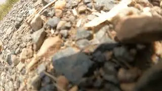 GoPro on e-scooter deck crash