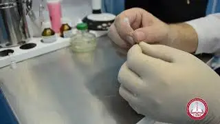 Накручивание ватки на зонд с нарезкой
