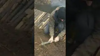 укрытия в лесу