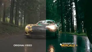 proDAD Mercalli V6 Trailer deutsch