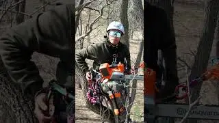 Tree Climbing Tip: Chainsaw Storage! 