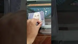 [UNBOXING] Cher - The Very Best Of Cher