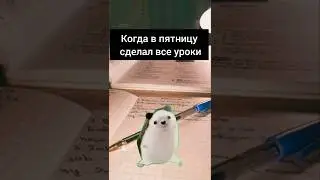 когда сделал все уроки