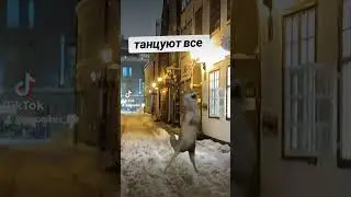 Танцуют все Когда Дороги плохие ТАНЦУЙ Налоги большие ТАНЦУЙ  Помогает 