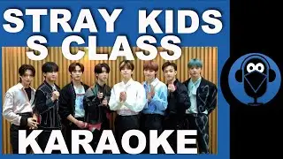 Stray Kids "특 S-Class  / (Karaoke)  / COVER