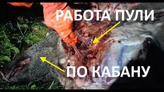 Патрон 