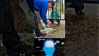 0 IQ #shorts #funny #memes