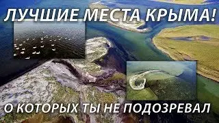 Отлетим! Шикарные виды заповедника Лебяжьи острова, 4k UHD