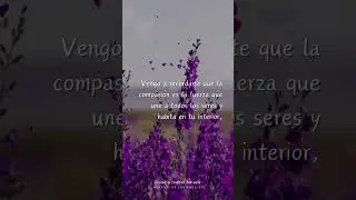 AGOSTO 29: MENSAJE DEL ÁNGEL DE LA GUARDA