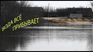Половодье 2024: 01. 04
