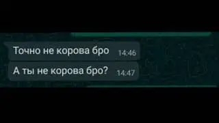 Ты корова бро? не, не корова бро.