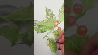 Let's draw... Some Christmas Holly Leaves 