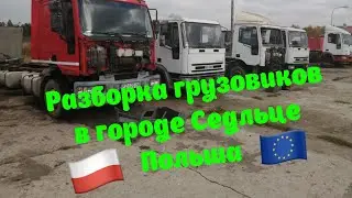 На разбор Iveco Eurocargo Fiat 8060.45 8040.45 Tector F4AE0681 F4AE0481 2855.6 Разборка грузовиков