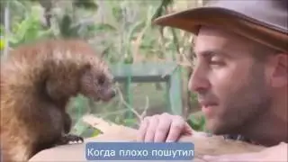 ПРИКОЛЬНО НЕ ПО ДЕТСКИ (18+) 