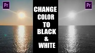 HOW TO TRANSITION FROM COLOR TO BLACK AND WHITE IN 