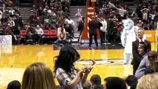 New Jersey Nets timeout show
