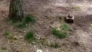 Танковый бой|в лесу. Мини видео