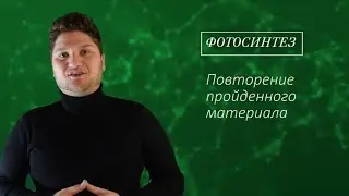 ЕСТЕСТВОЗНАНИЕ 5 КЛАСС ФОТОСИНТЕЗ ПОВТОРЕНИЕ