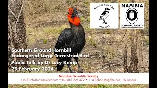Bird Club presentation: Southern Ground Hornbill – Endangered Large Terrestrial Bird by Dr Lucy Kemp