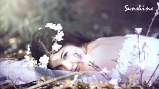 Fragile - European Jazz Trio