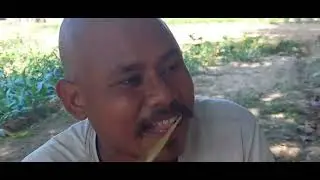 vlog