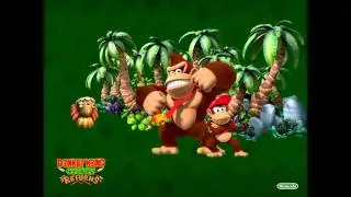 Donkey Kong Country Returns - Mangoruby Rush
