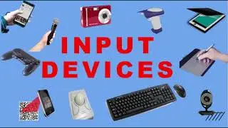 Input Devices|| Common Input Devices of Computer