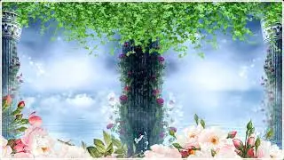 Natural Photo Frame wedding Green background screen effect HD video