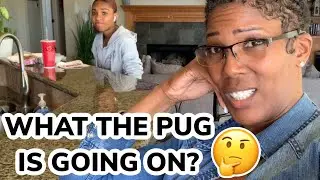 WHAT THE PUG IS GOING ON?