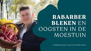 Rabarber bleken: een zoetere oogst dankzij deze simpele truc I Angelo Dorny