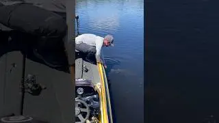 Abenteuer ANGELN in 1 Minute [Tropen 🌴] #shorts #angeln #fishing