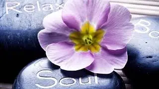 TLC Mobile Massage And Spa Inc in Gurnee, IL | Massage Therapy