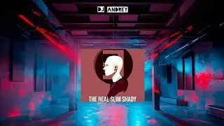 DJ Andrey - The Real Slim Shady (Cover)