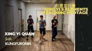 Xing yi quan teaching footage - 5 elements (形意拳)