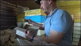 3.05.24. WORKING DAY AT THE APIARY