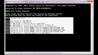 How to Use RMAN Backup Command to perform Full and Incremental Backups of database