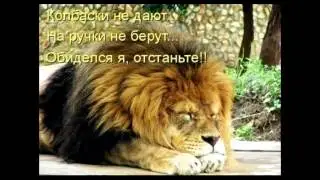 ВСЕМ ЛЮБИТЕЛЯМ КОШЕК ПОСВЯЩАЕТСЯ