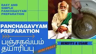 பஞ்சகவ்யம் தயாரிப்பு | PANCHAGAVYAM PREPARATION IN TAMIL | AGRI PEDIA | SIMPLE & EASY PREPARATION |