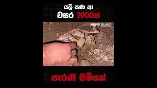 සෞදියේ අවුරුදු 2000ක් පැරණි මමියකට ආපහු පණ ඇවිත්......