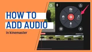 How to add audio in kinemaster | Add audio to video in kinemaster | Audio tutorial | Edit Source