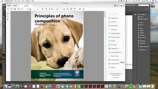 Adobe InDesign | Interactive PDF - Navigation & Table of Contents