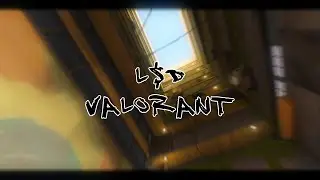 L.$.D. VALORANT EDITION