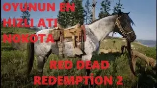 Red Dead Redemption 2 Oyunun en hızlı atı