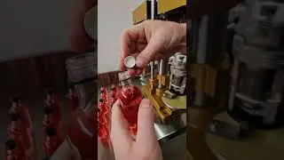 Semi automatic R.O.P.P Capping Machine