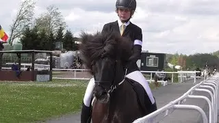 IPZV, OSI Birkenhof 2024 (WR), Icelandic Horses