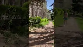 Рабочие моменты с тренировок, отрезки в горку, в Кисловодском парке, Меленчук Данила 