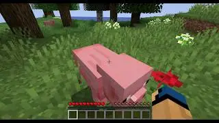 if i see a pig in minecraft, the video ends