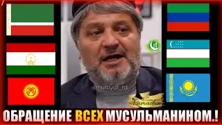 чеченцы дагестанцы таджики узбеки кыргызы казахи сюда